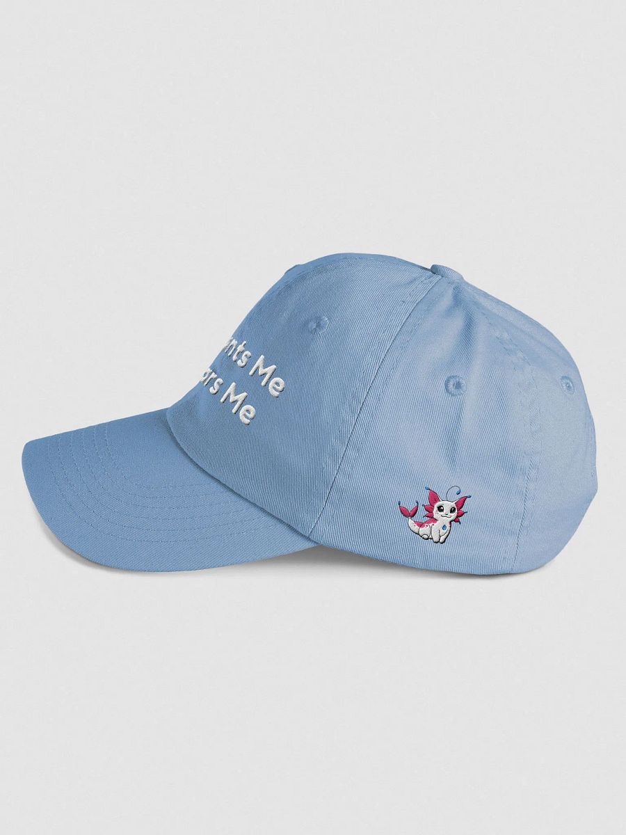 Chat Wants Me, Fish Fears Me Hat! product image (21)