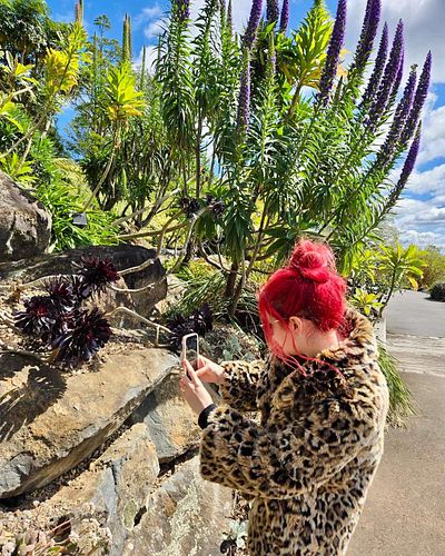 I didn’t realise Kieran took this photo of me taking a photo 😄 swipe to see the photo I took! 🖤 #bluemountains #botanicgarden...