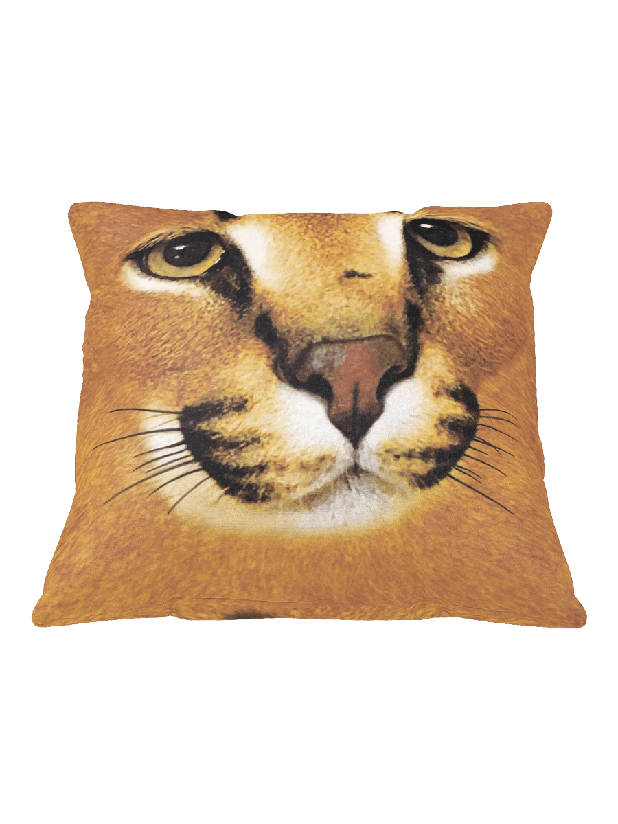 DOUBLE SIDED "FLOPPA FACE" PILLOW product image (1)