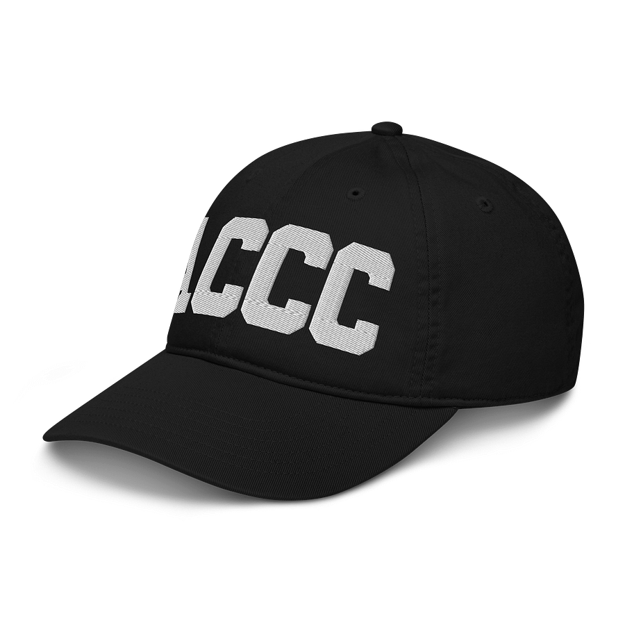 ACCC Organic Dad Hat by Econscious product image (4)