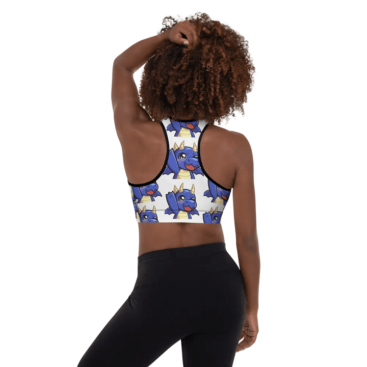 DRACO SPORTS BRA product image (2)