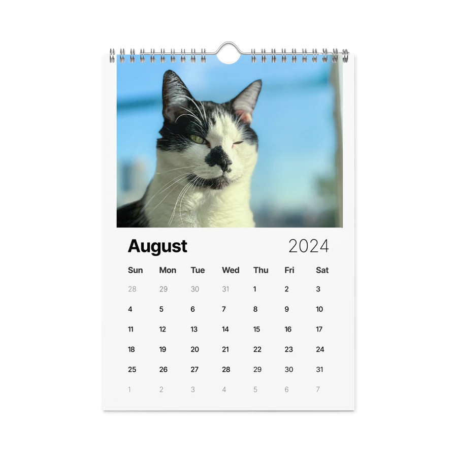 The 2024 ShoKo Cat Calendar product image (3)