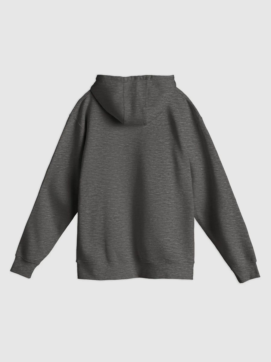 AG21 Campus Hoodie (Black) product image (11)