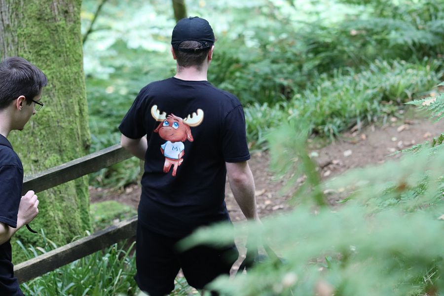 Moosescot top product image (4)