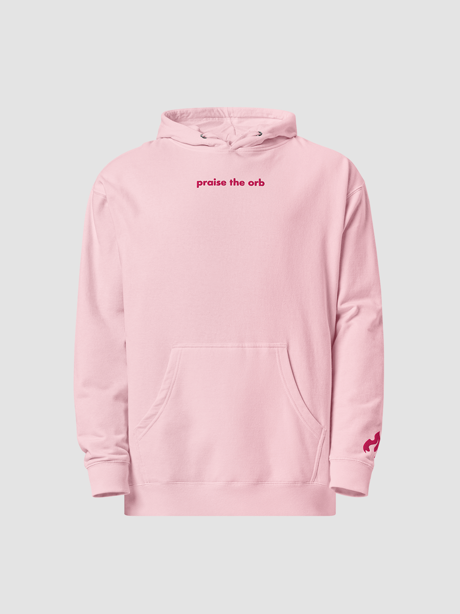 praise the orb embroidered hoodie product image (4)