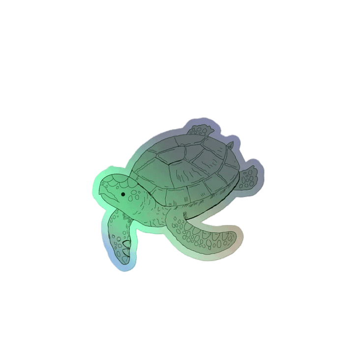 Turtle product image (2)