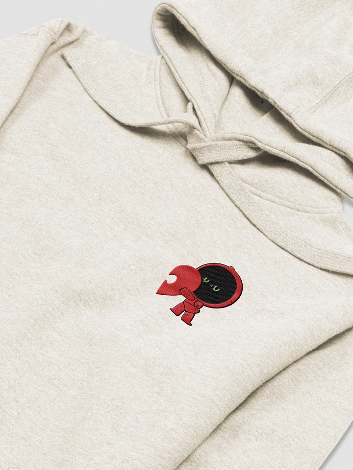Tim the RedBot- Matching Embroidery Hoodie product image (5)