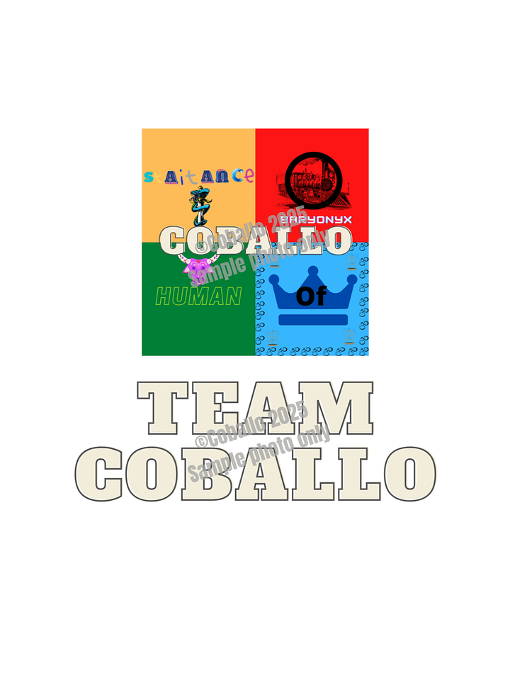 Team Coballo T-Shirt product image (1)