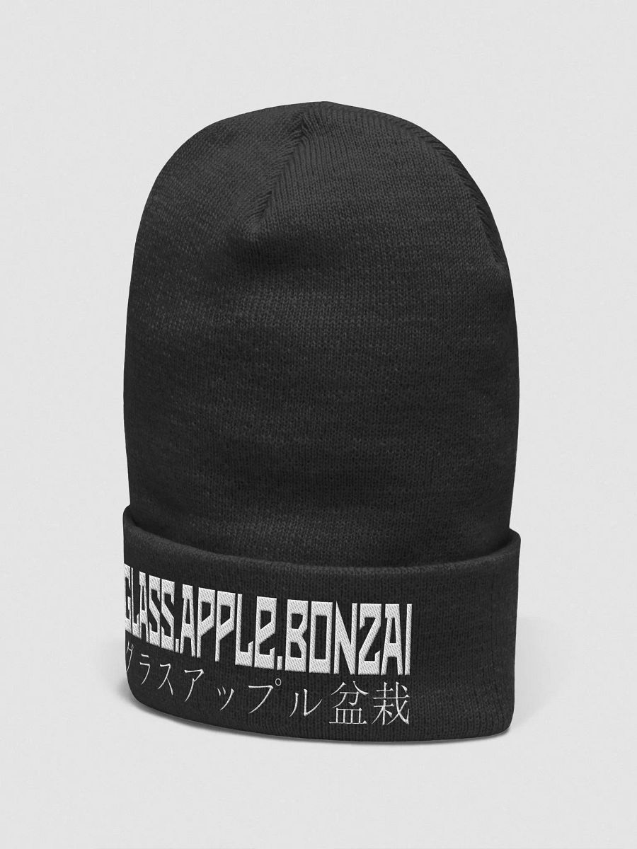 Glass Apple Beanie! product image (2)