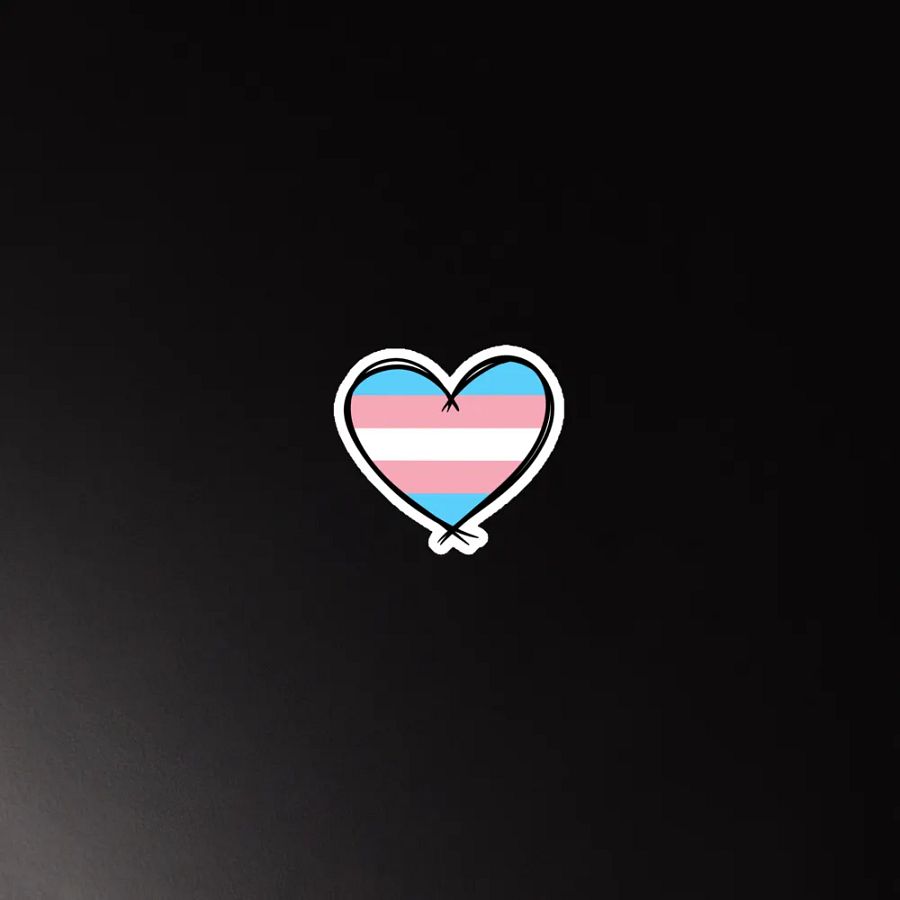 Transsexual Pride Magnet product image (5)