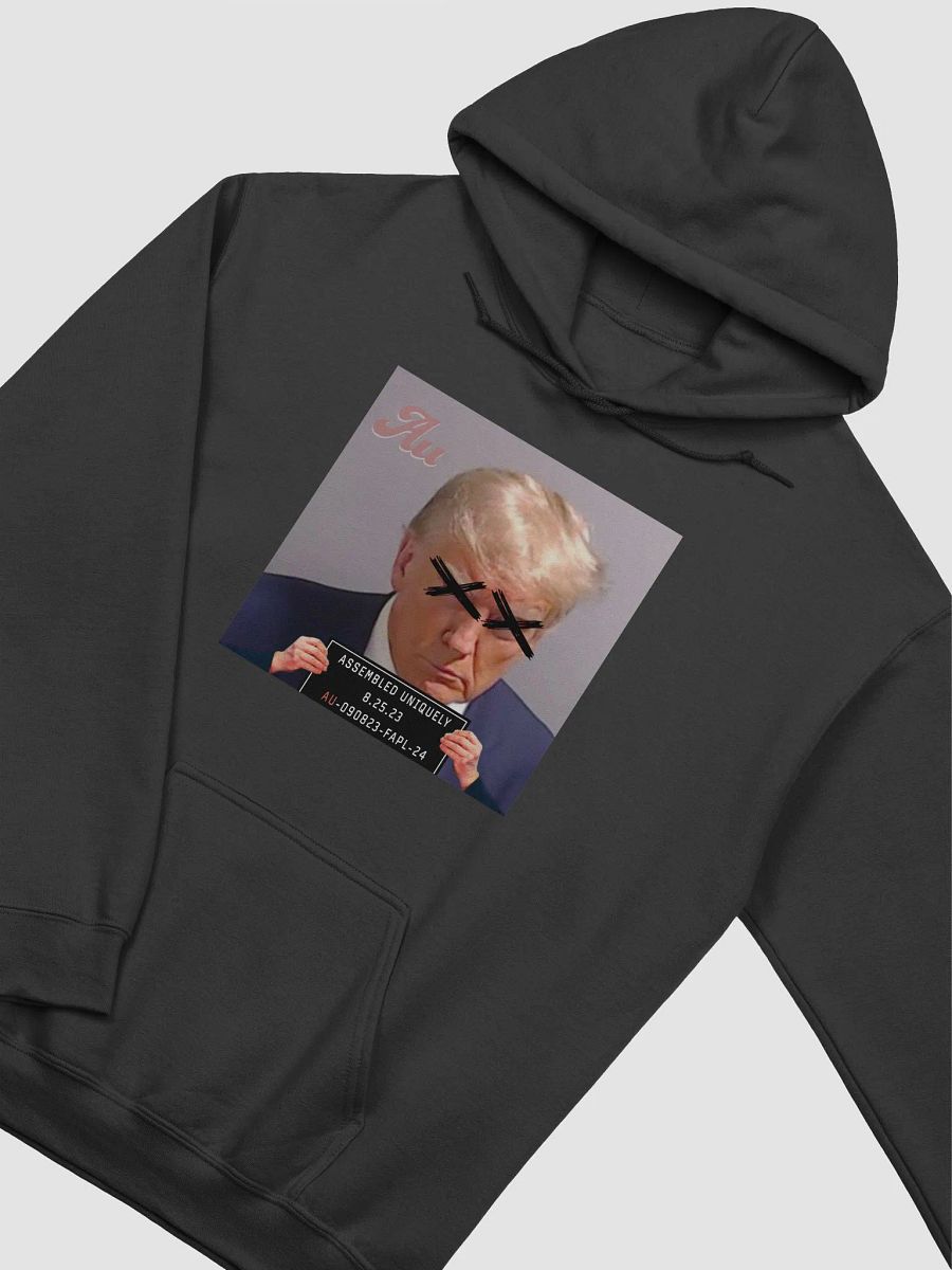 Au Prison Hoodie product image (3)