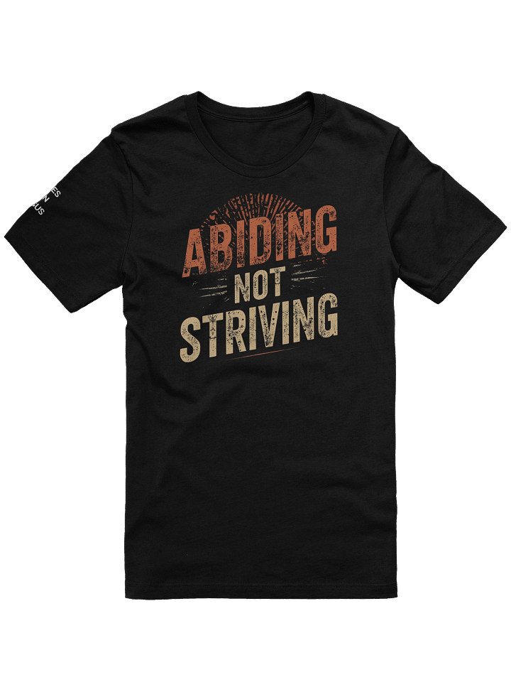 Abiding Not Striving T-shirt product image (1)