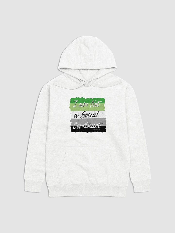 I am Not a Social Construct - Aromantic (2) - Hoodie product image (1)