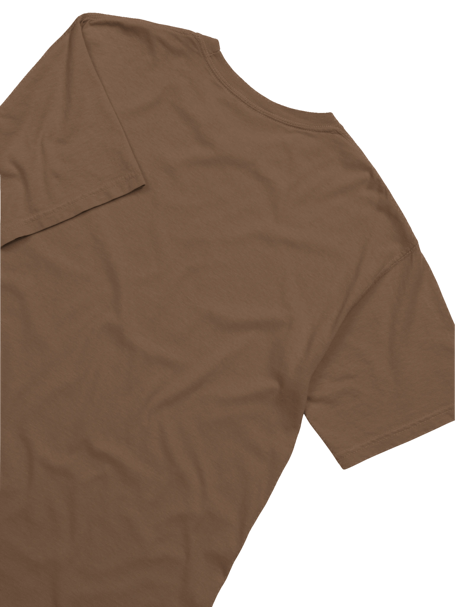 Feline in Bloom T-shirt product image (5)