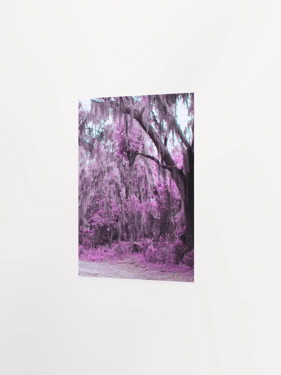 Rain Petrified by an Artist product image (14)
