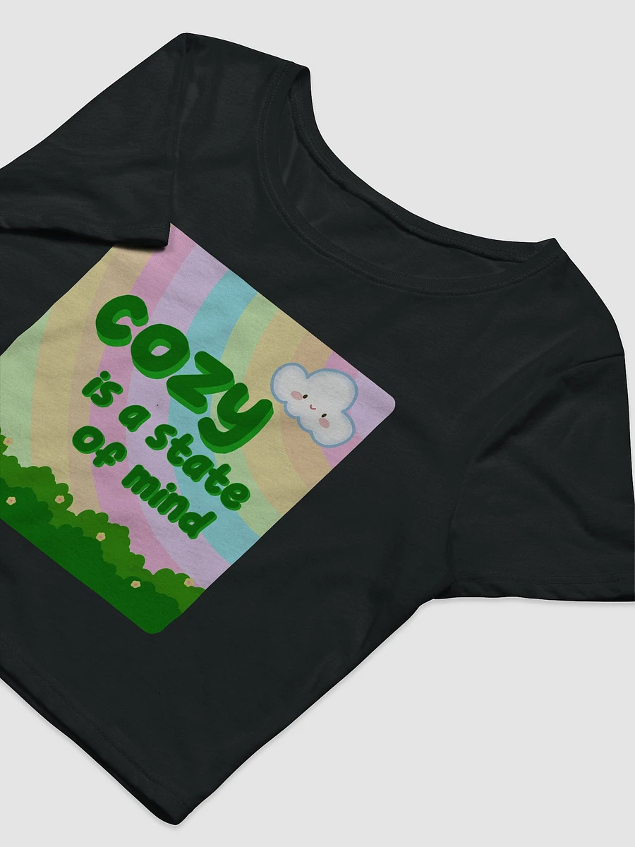 Cozy is a state of mind Crop Tee product image (14)