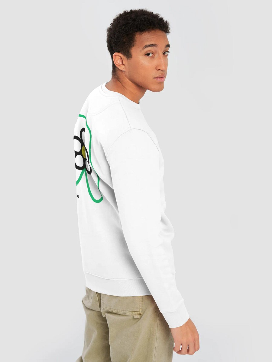 Type B product image (8)
