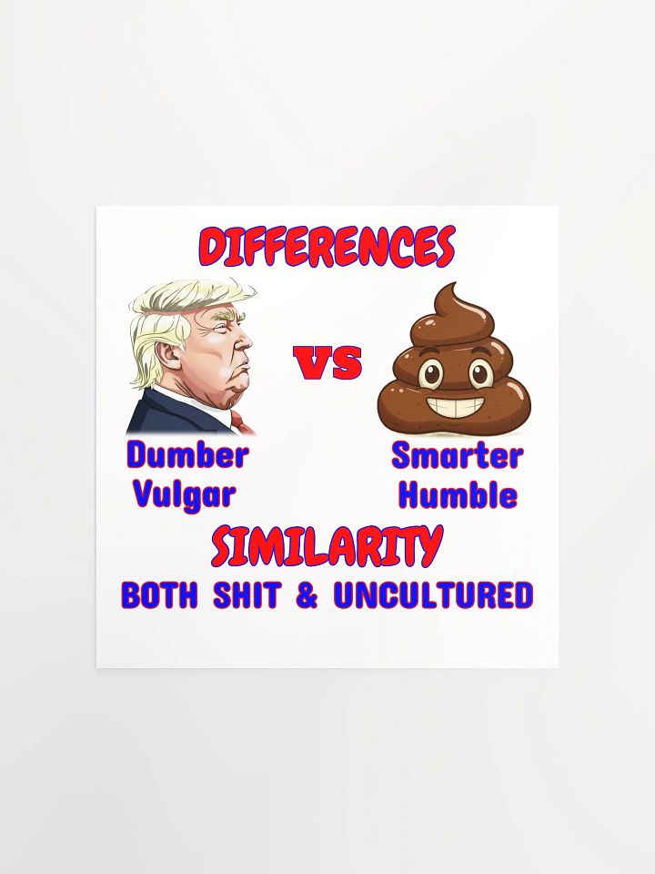 Differences vs Similarity Poster product image (3)