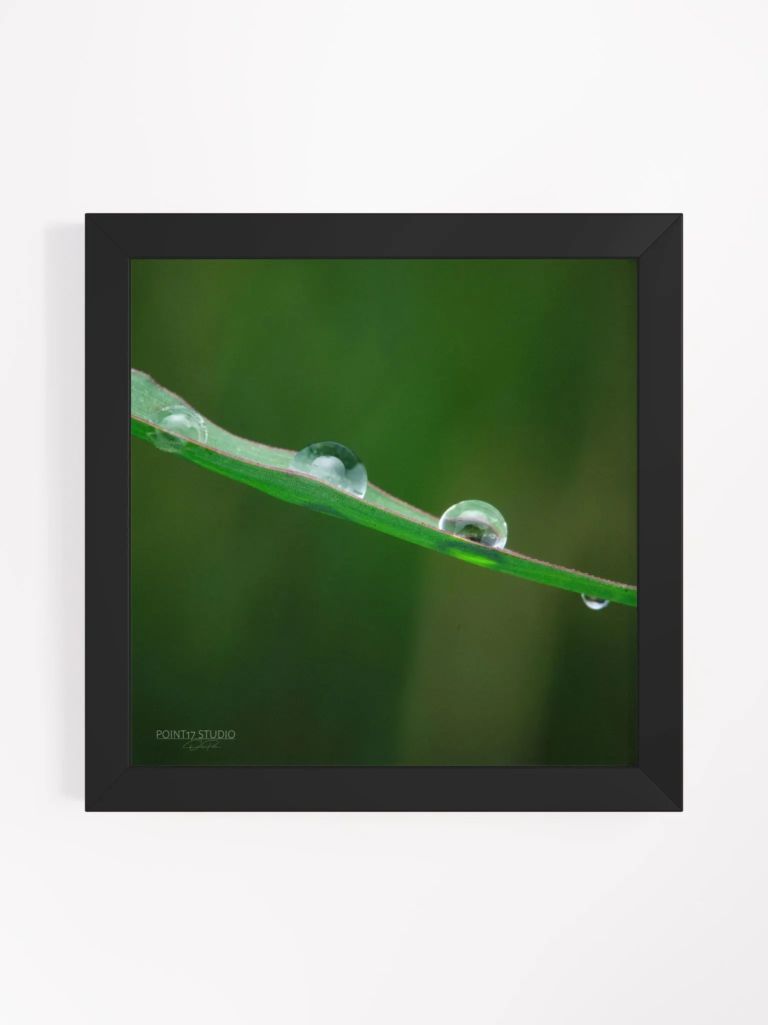 Dew Gems #5 - Framed Print product image (1)