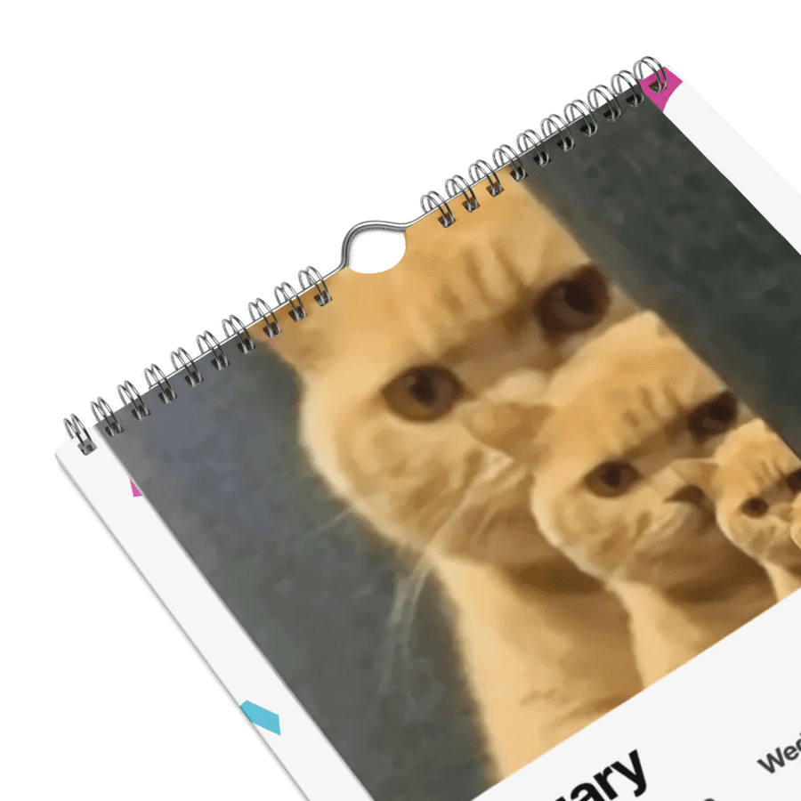 Wall Calendar (2024): Meme Cats product image (9)