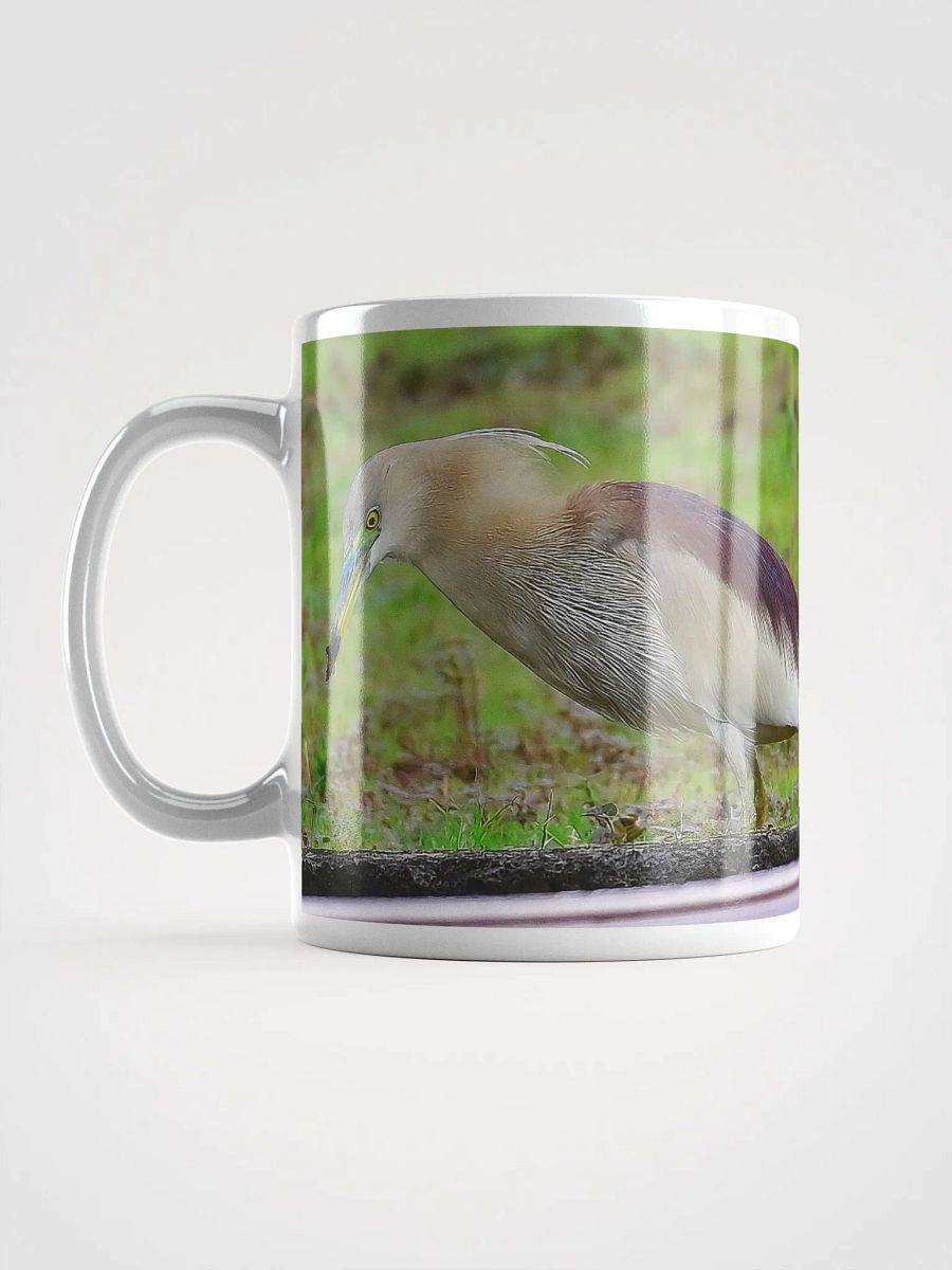 IUCAA Birds MUG product image (6)