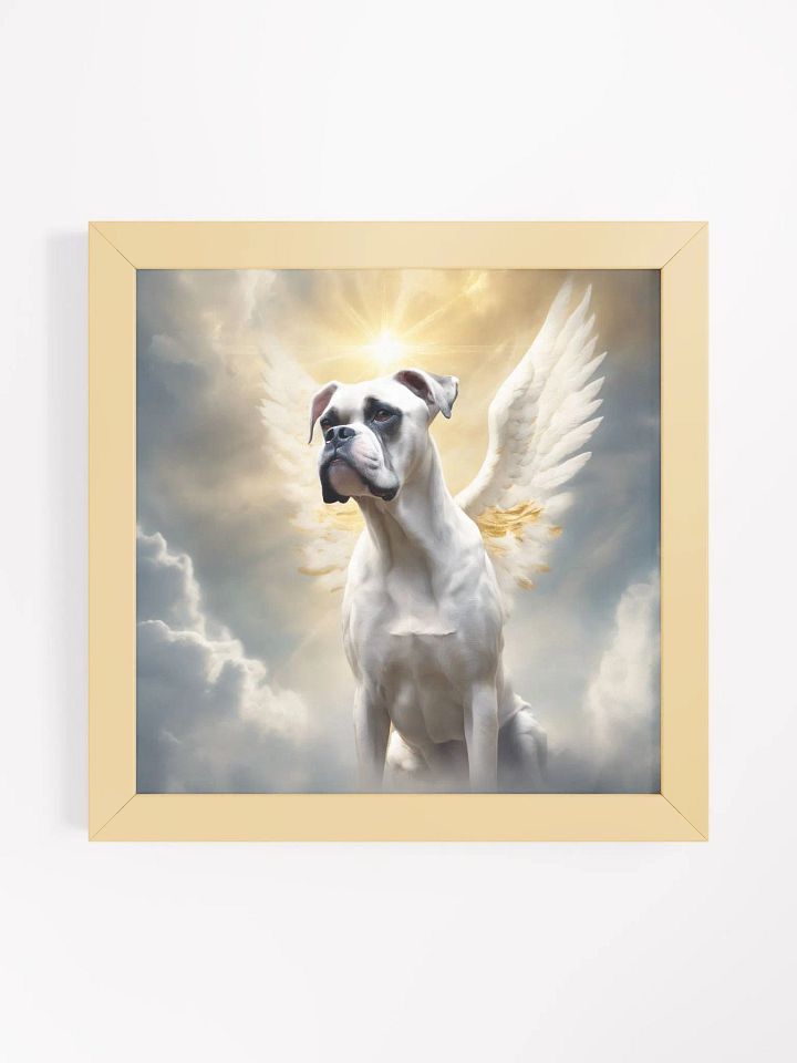 Angelic White Boxer product image (3)