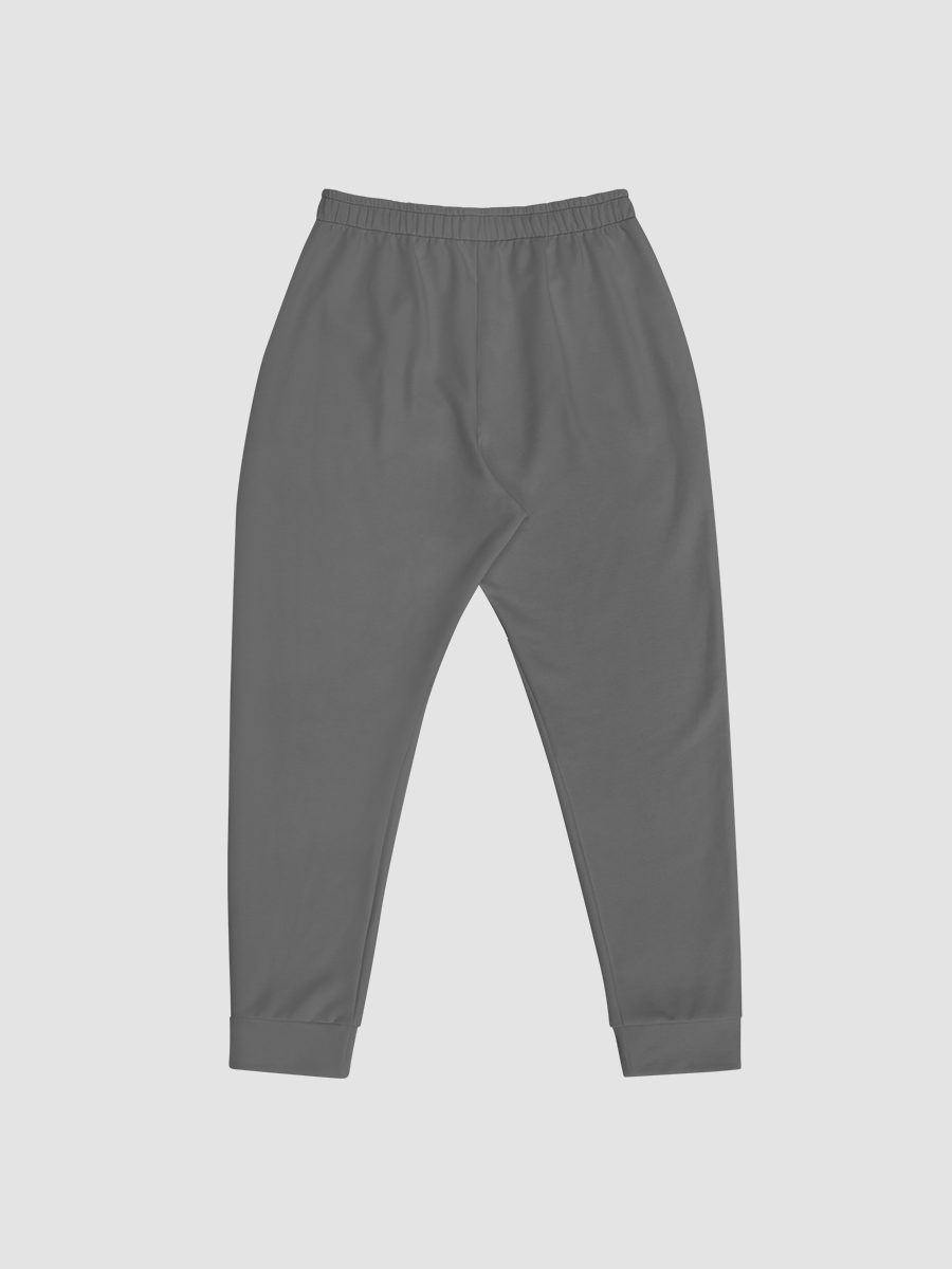 Project Winter Men's Joggers (Gray) product image (4)