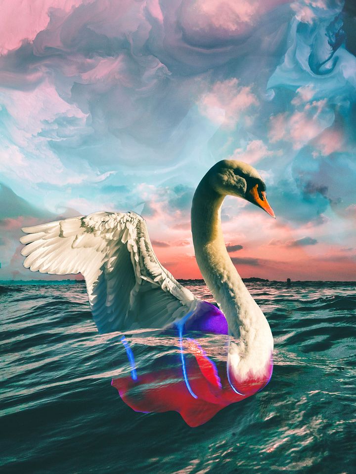 Downloads product image (1)