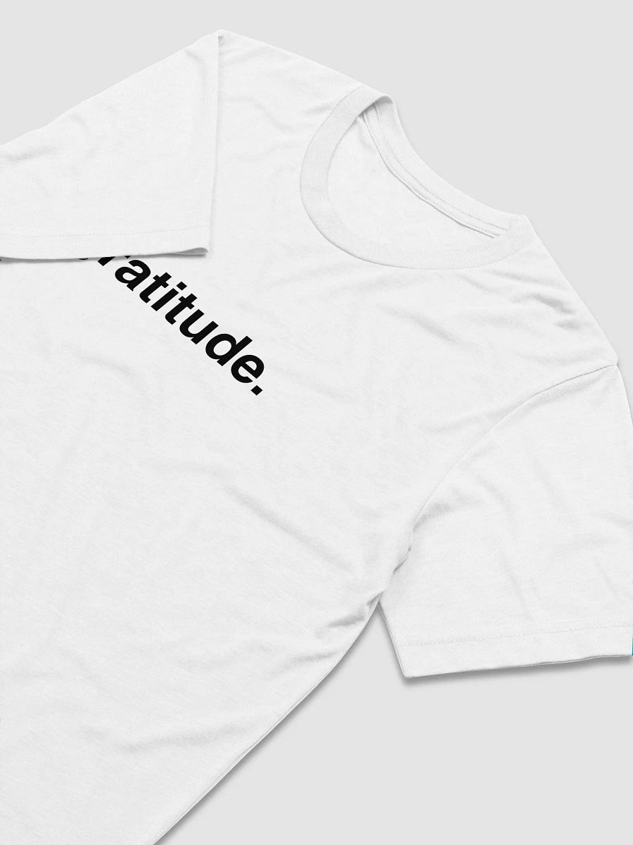 gratitude. tee product image (3)