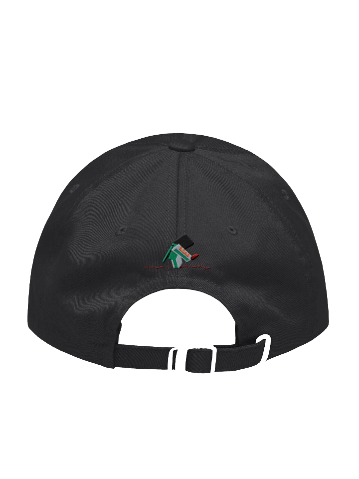 SG cap product image (2)