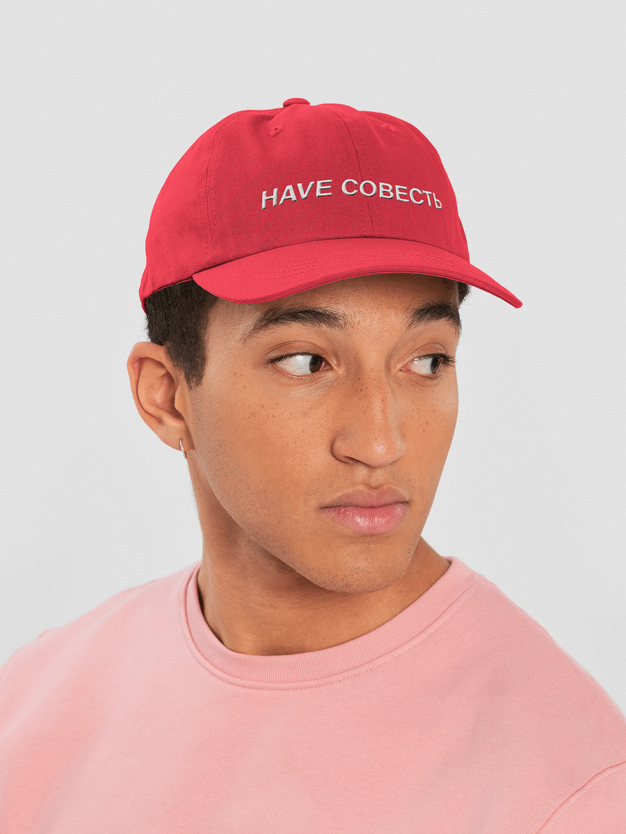 HAVE СОВЕСТЬ HAT product image (12)