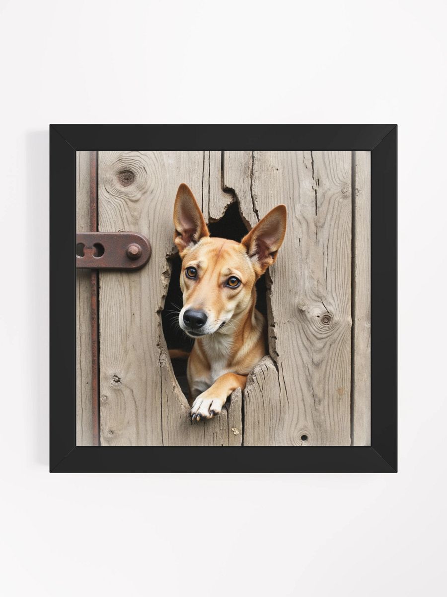 Rustic Wood Fence Peeker Framed Print product image (11)