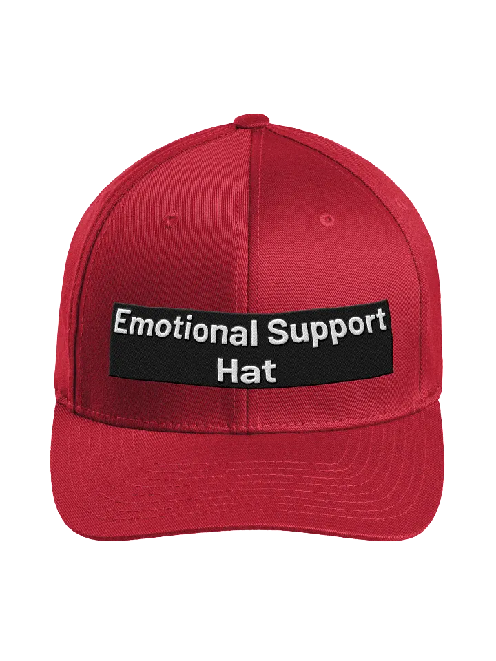 Flexfit Hat - Emotional Support product image (43)