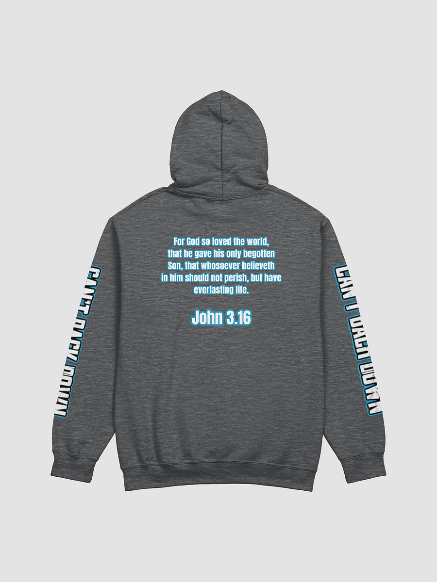 TeNN4OUR (Scripture) Hoodie (John 3:16) product image (5)