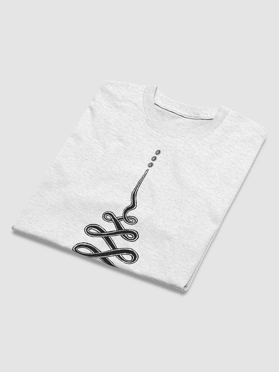 Stay on the Path Heavy weight T-shirt - black print product image (4)