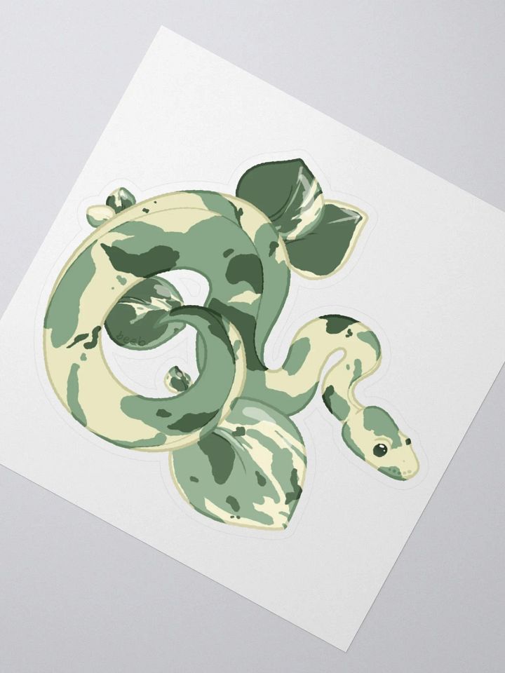 NEW Variegated Peperomia Houseplant Snake product image (2)
