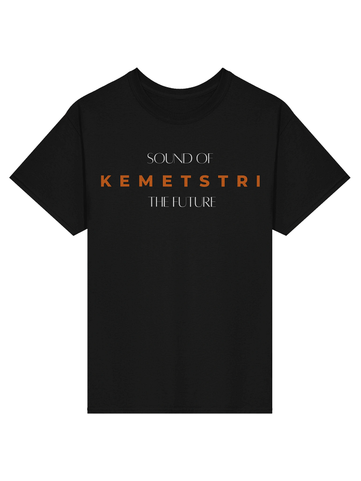 Kemetstri | Gildan Heavyweight T-Shirt | Black product image (1)