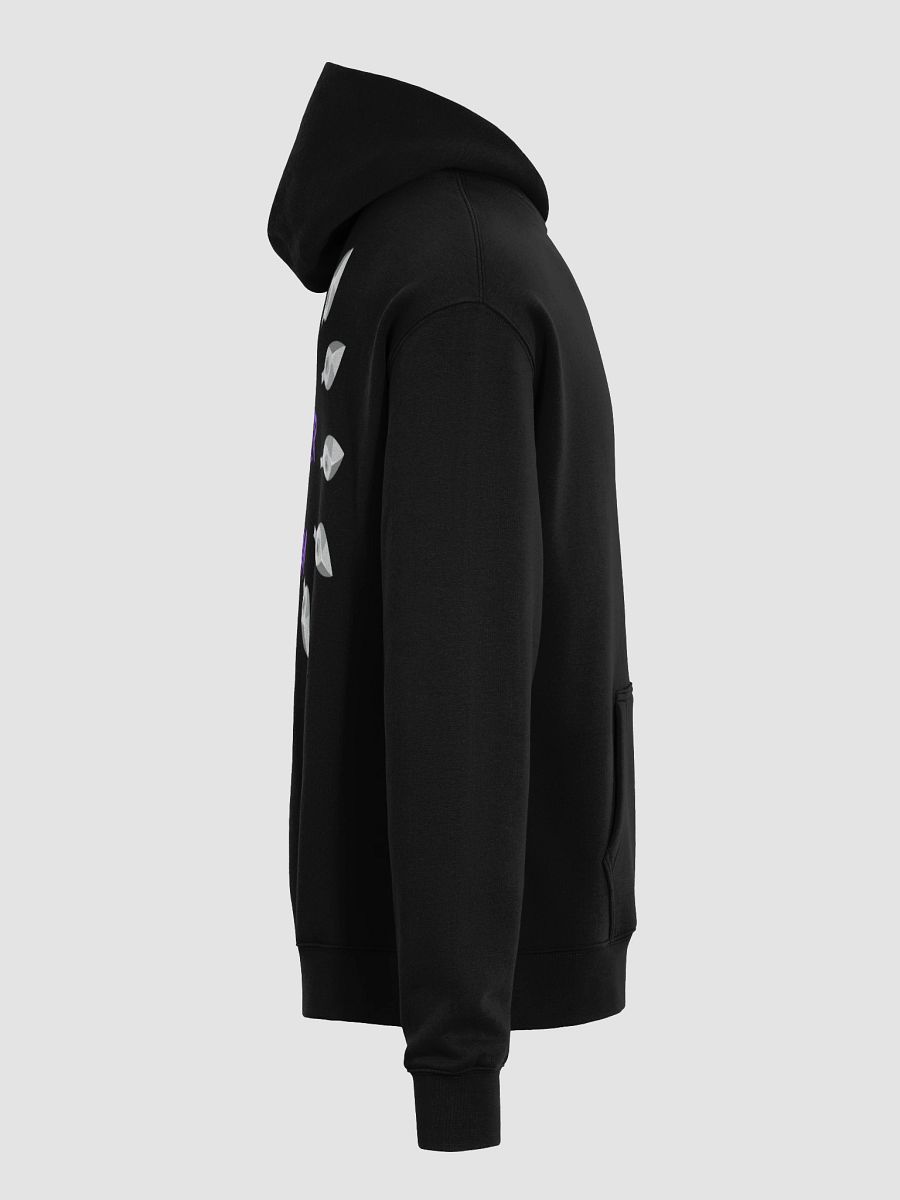Stormy Bird Oversized Hoodie product image (7)