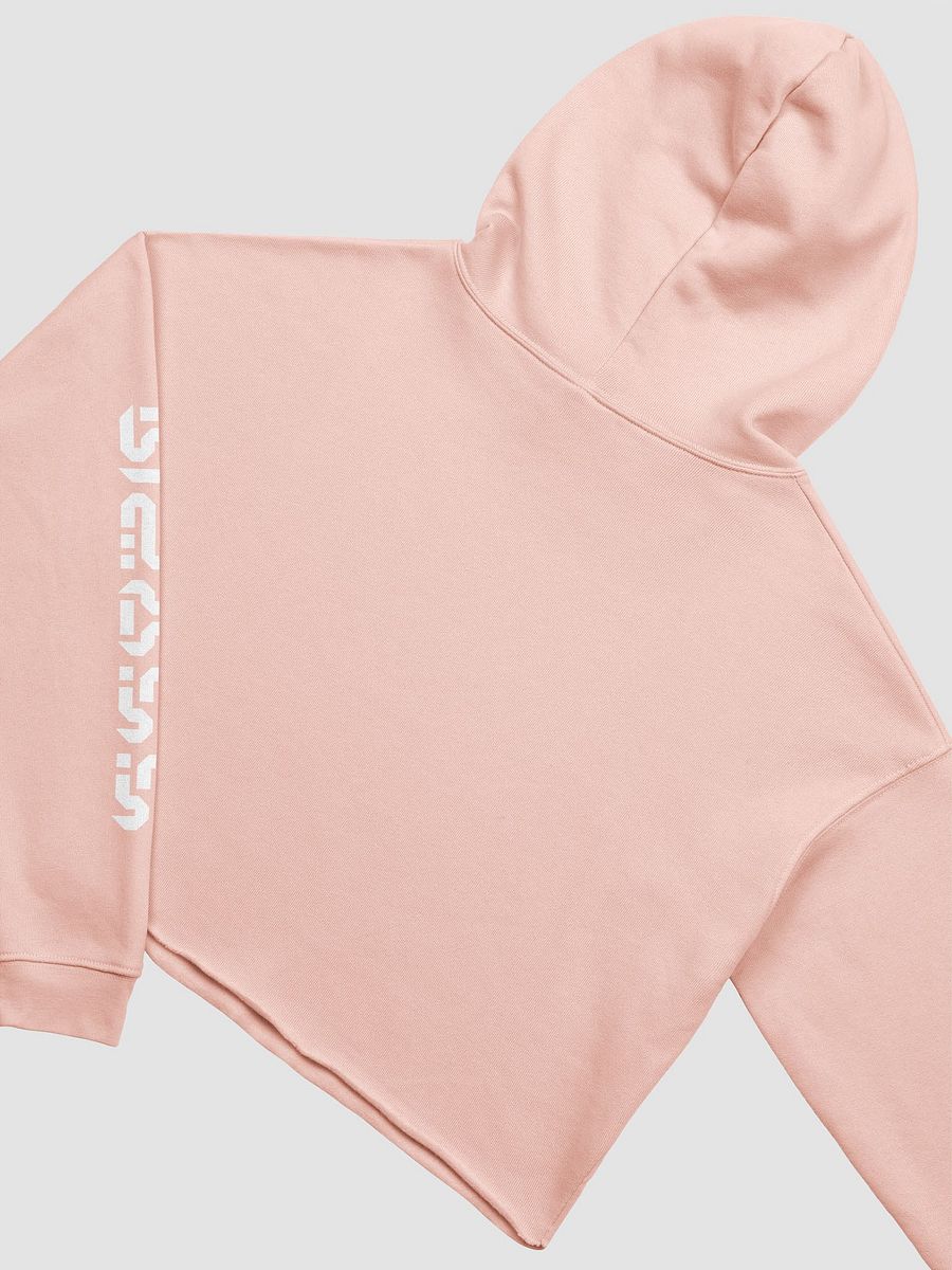 Legend of Tix Cropped Hoodie product image (4)
