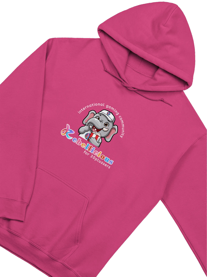 Gildan Classic Hoodie product image (2)
