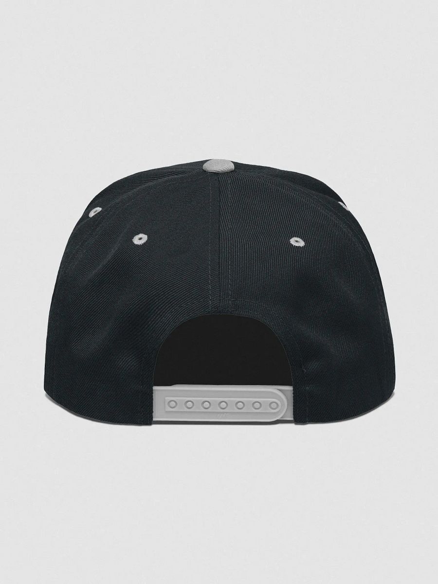 T4P Wool Blend Snapback - Black/Grey product image (4)