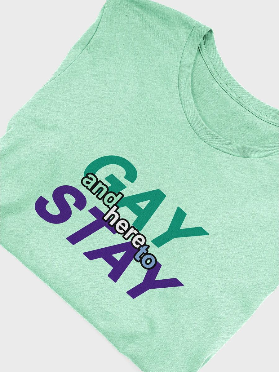 gay and here to stay (mlm) t-shirt product image (5)