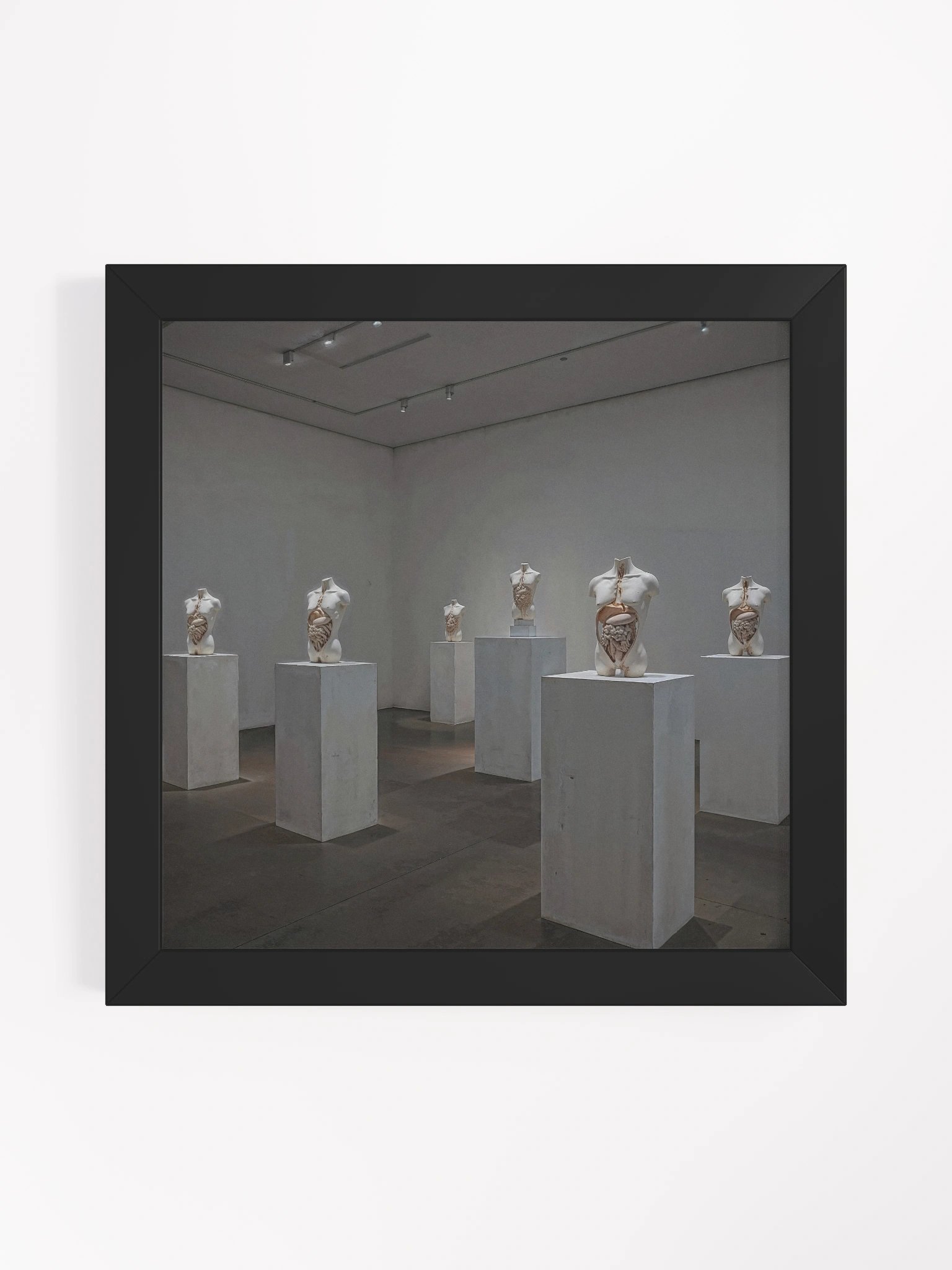 Anatomy of Silence Framed Print product image (1)