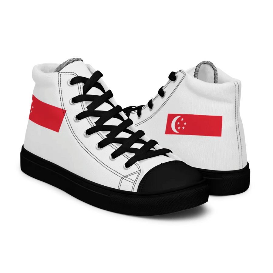 singapore product image (7)