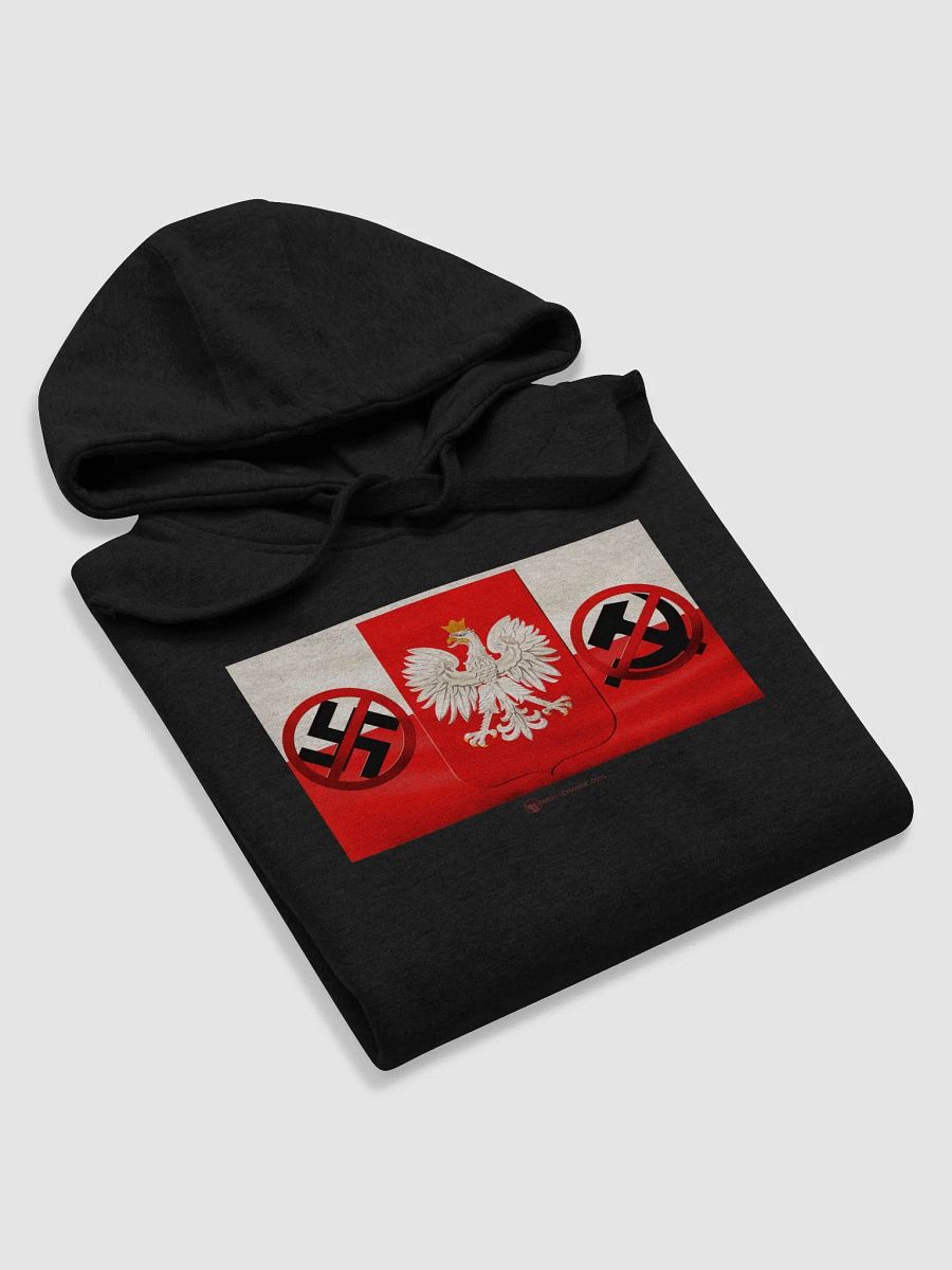 The Polish Spirit Hoodie product image (5)