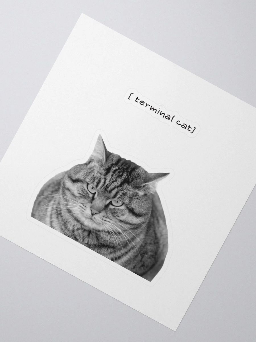 Terminal cat product image (2)