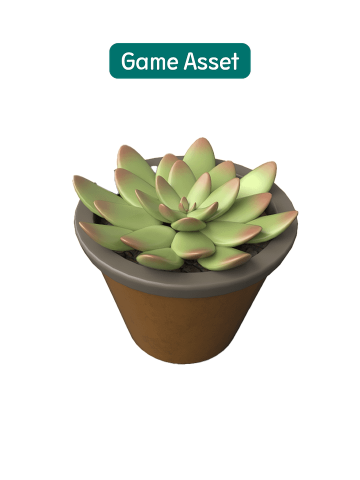 succulents product image (1)