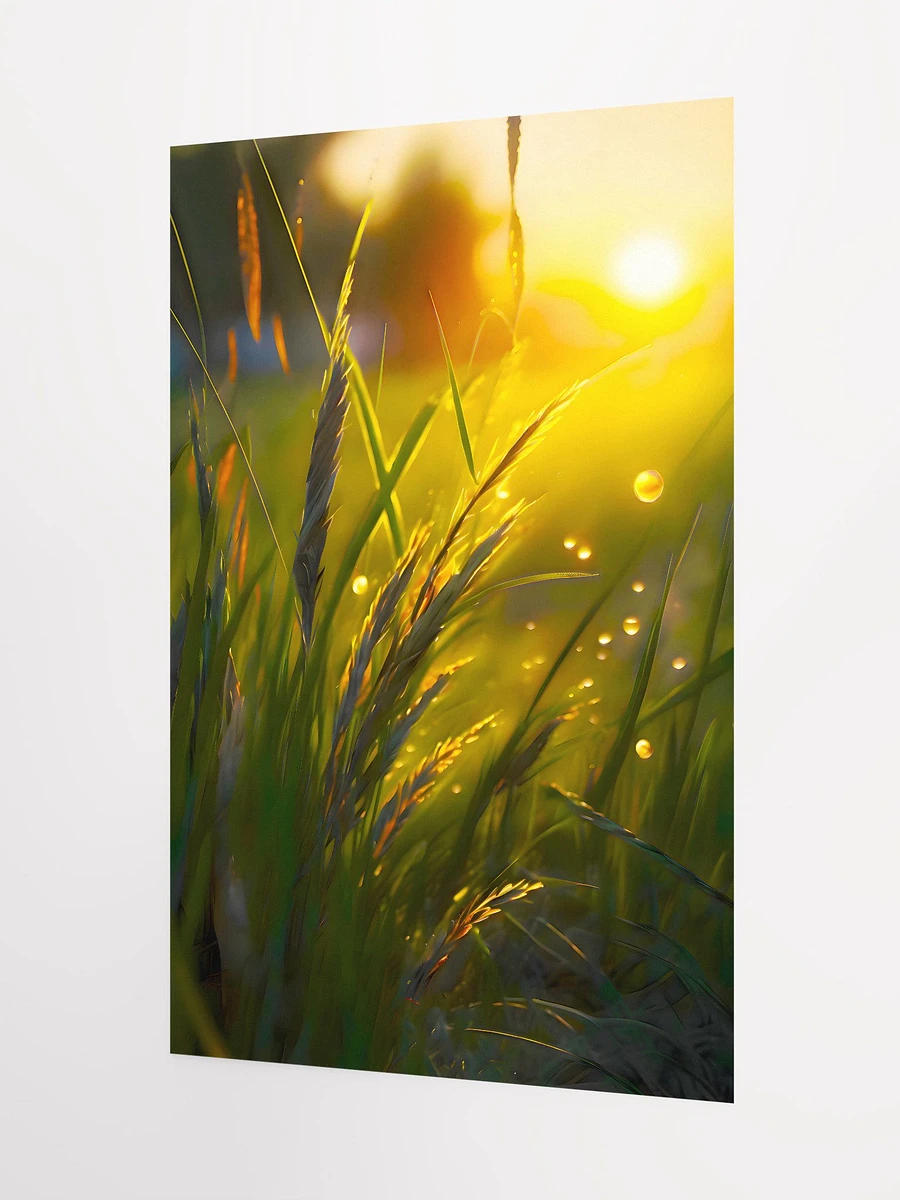 Golden Sunlight Shining Through Blades of Grass Matte Poster product image (5)