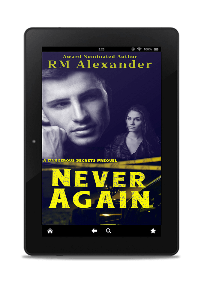 Never Again (Dangerous Secrets - Short Story Sequel) product image (1)