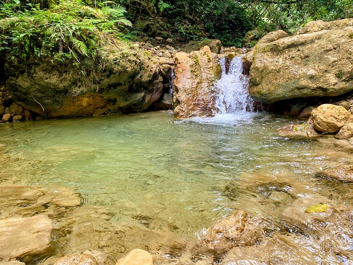 Rio Licey_Tamboril product image (1)